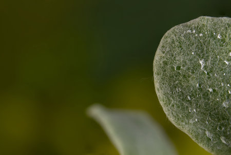Leaf macro