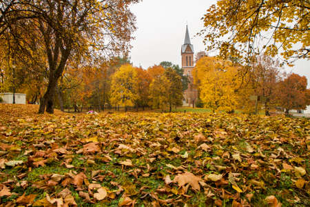 Church through the tree leavesの写真素材