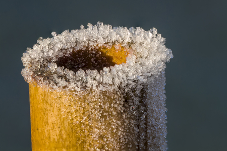 frostedの写真素材