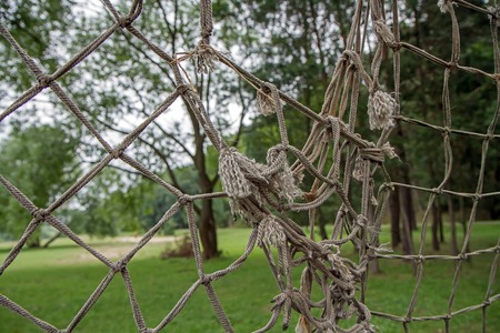 networkの写真素材