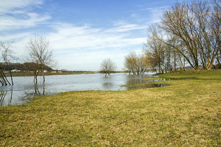 grass inundated water