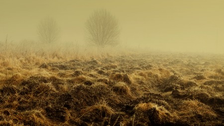 Lithuanian landscape come the fall when the leaves are fallingの写真素材