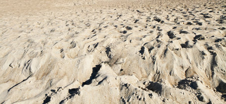 sand near the sea