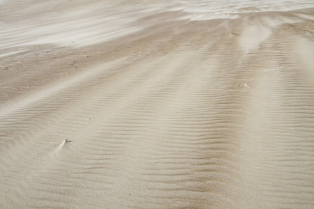 Nice sand ornamentsの写真素材