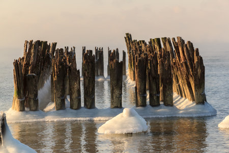 Bridge pilesの写真素材