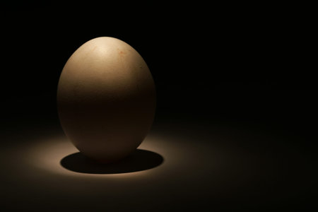one  egg in dark