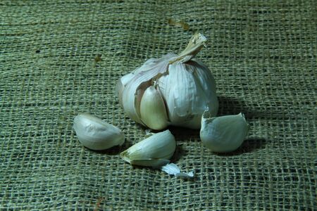 garlicの写真素材