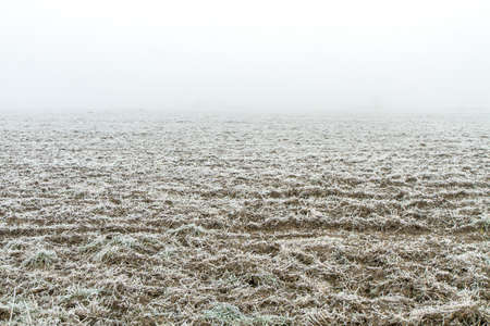 Fieldsの写真素材