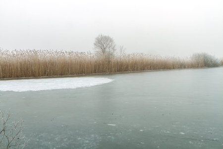 Cold Iceの写真素材