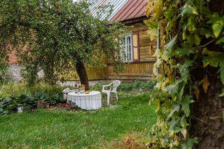 Rural house and yard during the summerの写真素材