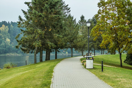 Trees by the riverの写真素材