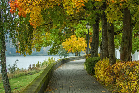 alley near the riverの写真素材