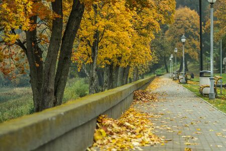 alley in Birstonasの写真素材