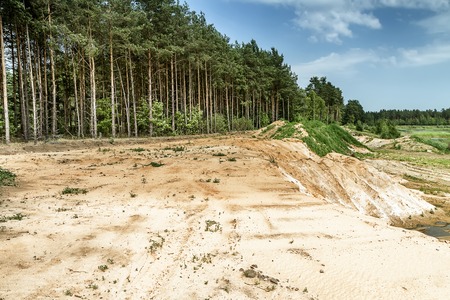 Forest near the quarryの写真素材