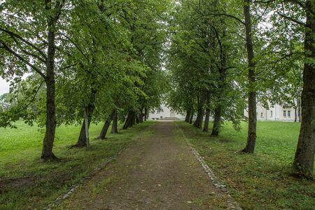 The trail passes through a large avenueの写真素材