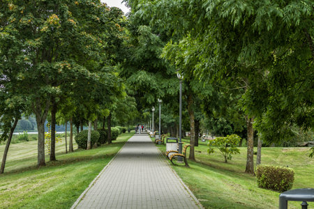 Trees at the promenade in Birstonasの写真素材