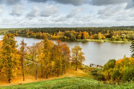 In the autumn parkの写真素材