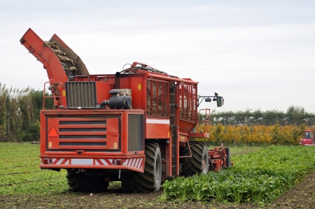 Tractor harvesting crops の写真素材