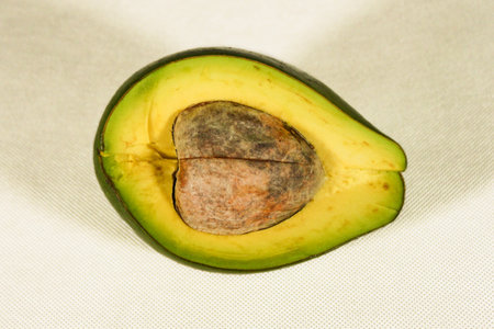 avocado isolated on white background