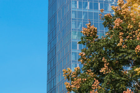 Commercial high-rise building