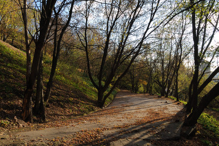 autumn in cityの写真素材