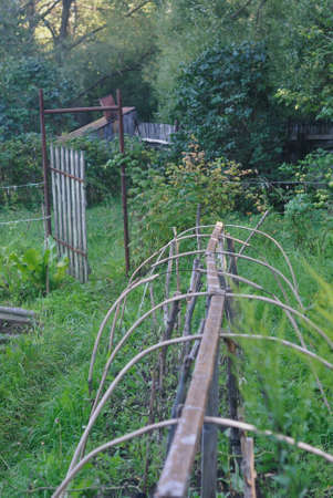 patch and wicket in garden in summerの写真素材