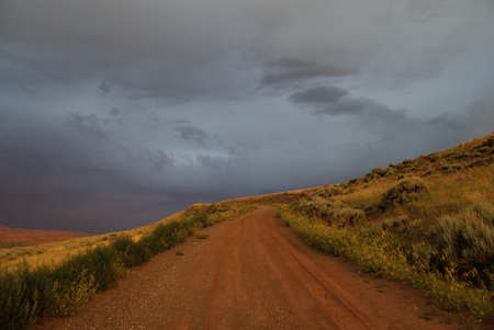 nature rural landscape of road in fields woth heavy cloud rain skyの写真素材