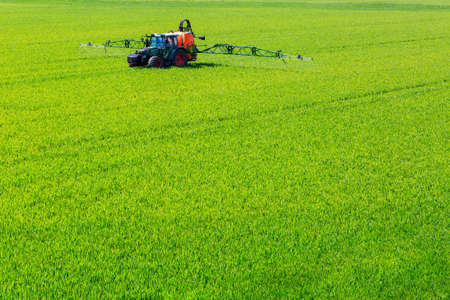tractor spraying glyphosate pesticides on a corn fieldの写真素材