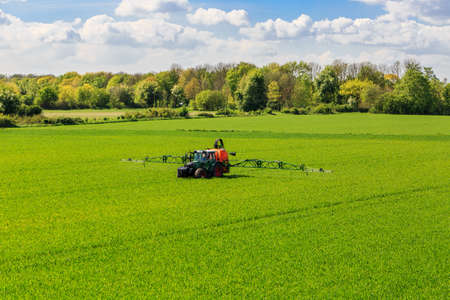 tractor spraying glyphosate pesticides on a corn fieldの写真素材