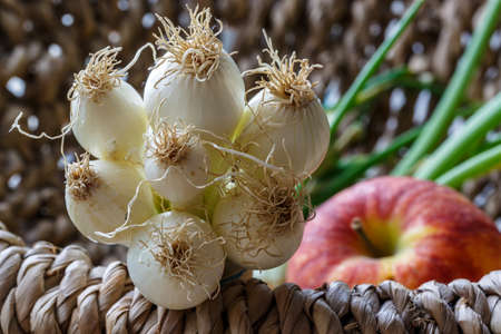 Green onion sprouts and apple in a wooden basket. Selective focusの写真素材