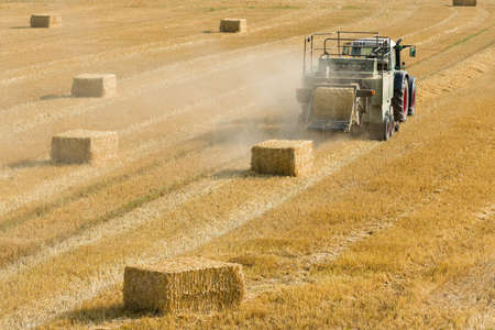 Tractor collects dry hay on the farm field and makes hay bales rear viewの写真素材
