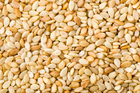 Closeup of white sesame seeds background. Top view. Studio shot.の写真素材
