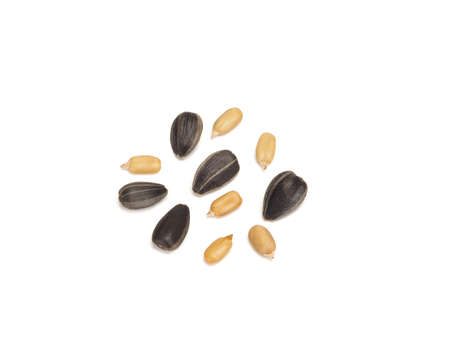 Black sunflower fried seeds peeled and unpeeled, close-upの写真素材