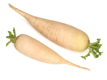 Two fresh daikon radishes isolated on a white backgroundの写真素材