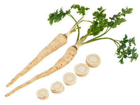 raw parsley root and its slices isolated on whiteの写真素材