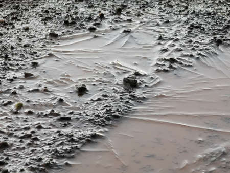 Frozen mud in dirt roadの写真素材