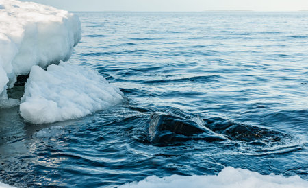 Swedish Baltic Sea with snow and ice end of February 2021 as spring approaches.