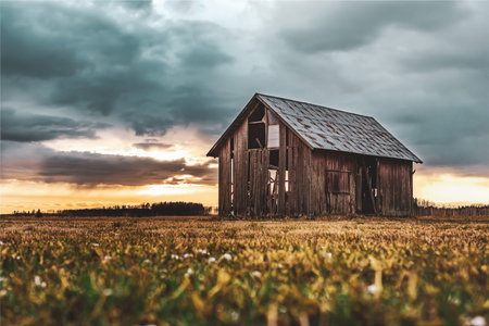 Old barn standing on open farmland during sunset one late evening in Aprilの写真素材