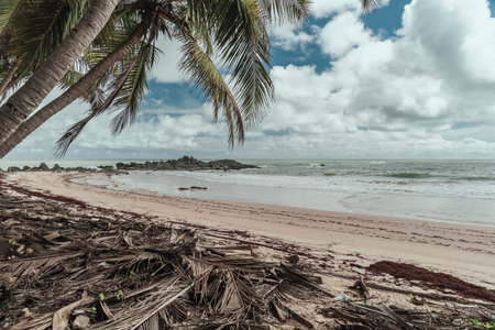 Africa beach from jungle and boulders in the tropical part Axim Ghana West Africa