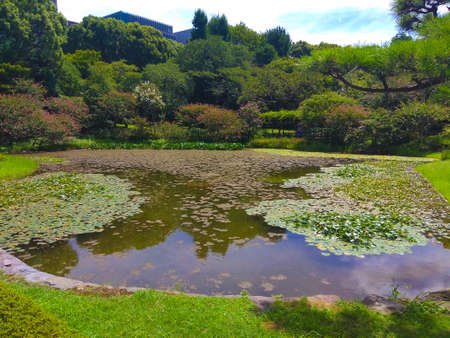 Japanese traditional gardens in Kyotoの写真素材