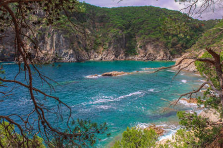Seascape on the Calella coast, Costa Brava.の写真素材