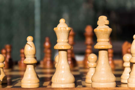 Chess pieces in their original position before the start of the game.の写真素材