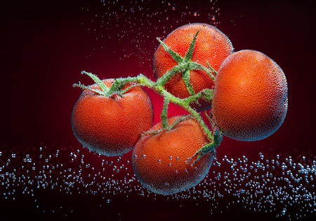 Beautiful tomatoes close-up photo with carbon dioxide bubblesの写真素材