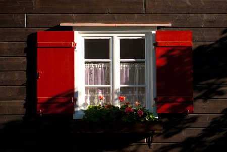 Colorful Flower Arragement on the windows of an Alpine Cabin in Austria