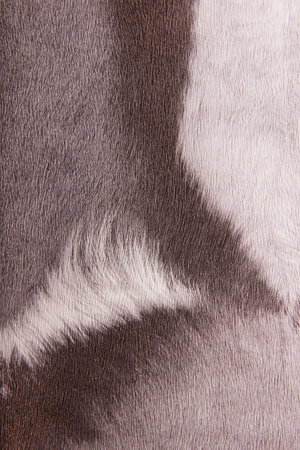 Imitation animal fur, background