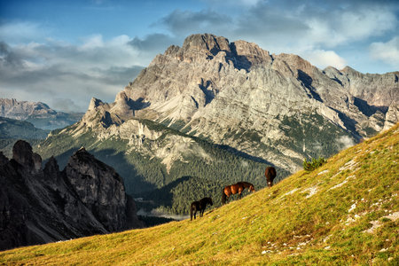 Italy, Dolomites - wonderful landscapes, horses graze near the barren rocksの写真素材