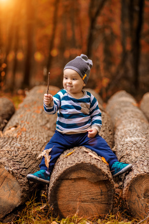 A little boy sits on a tree in the autumn forestの写真素材