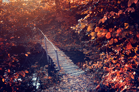 Old bridge in the autumn landscapeの写真素材