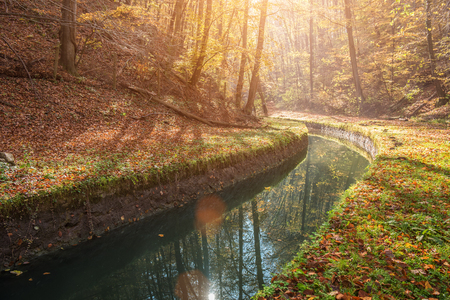 Beautiful, fabulous autumn landscape.の写真素材