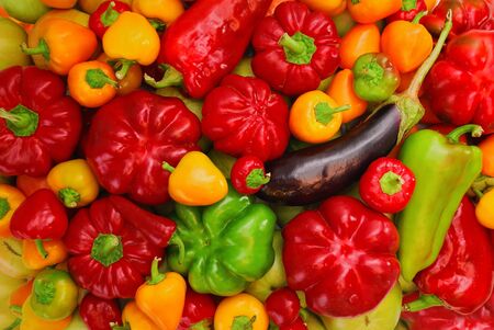 Combination of fresh vegetables ready for pickles backgroundの写真素材
